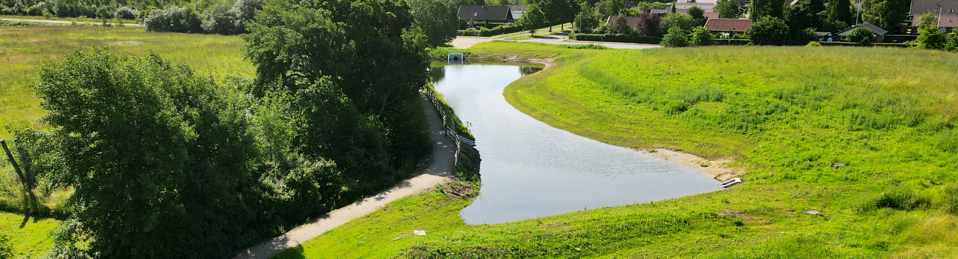 Regnvandsbassiner og biodiversitet